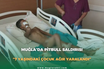 MUĞLA’DA PİTBULL SALDIRISI