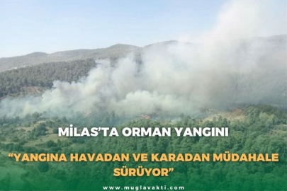 MİLAS’TA ORMAN YANGINI