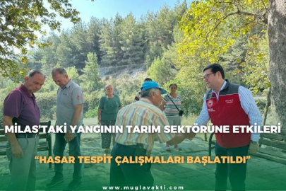 MİLAS’TAKİ YANGININ TARIM SEKTÖRÜNE ETKİLERİ