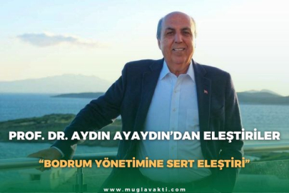 PROF. DR. AYDIN AYAYDIN’DAN ELEŞTİRİLER