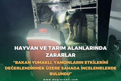 HAYVAN VE TARIM ALANLARINDA ZARARLAR