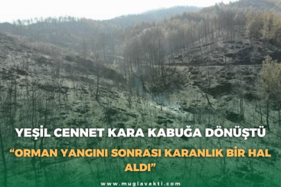 YEŞİL CENNET KARA KABUĞA DÖNÜŞTÜ