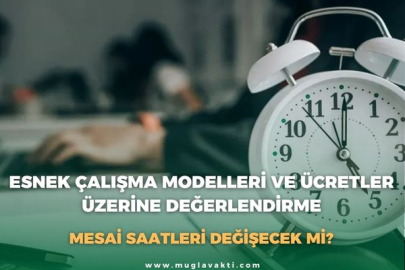 ESNEK ÇALIŞMA MODELLERİ VE ÜCRETLER ÜZERİNE DEĞERLENDİRME