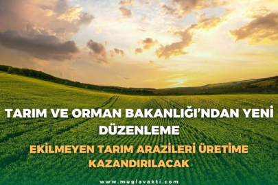 TARIM VE ORMAN BAKANLIĞI’NDAN YENİ DÜZENLEME: EKİLMEYEN TARIM ARAZİLERİ ÜRETİME KAZANDIRILACAK