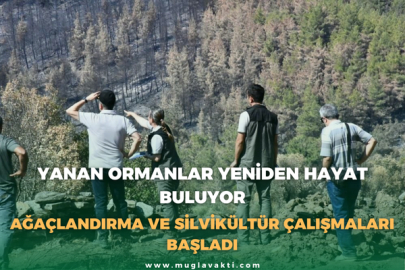 Yanan Ormanlar Yeniden Hayat Buluyor: Ağaçlandırma ve Silvikültür Çalışmaları başladı