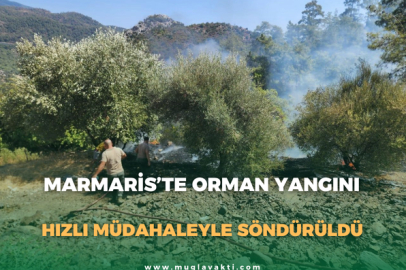 Marmaris’te Orman Yangını: Hızlı Müdahaleyle söndürüldü