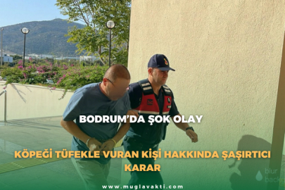 Bodrum’da Şok Olay: Köpeği Tüfekle Vuran Kişi Hakkında Şaşırtıcı Karar