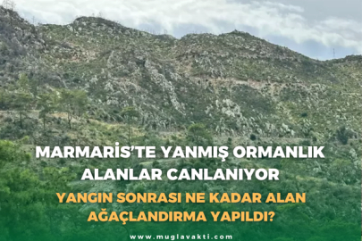 Marmaris’te Yanmış Ormanlık Alanlar Canlanıyor