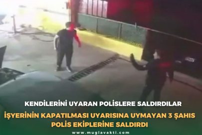 Kendilerini Uyaran Polislere Saldırdılar